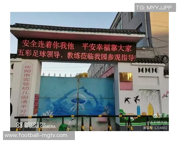 推动中国足球普及的路径探索与青少年培养的重要性分析